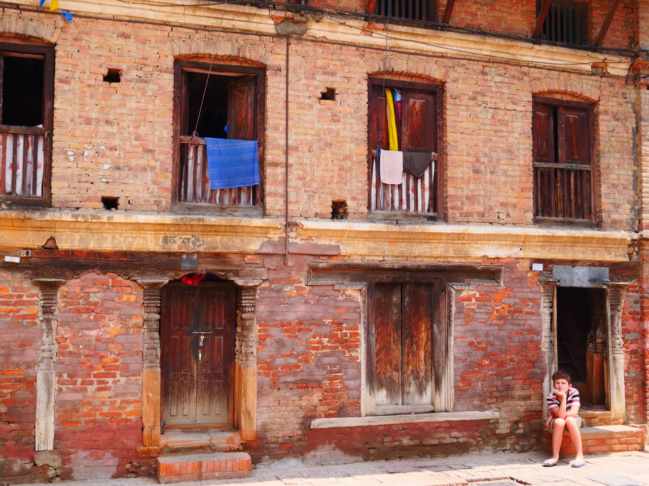 The Fogorellis Go Feral