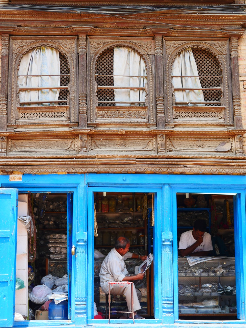 The Fogorellis Go Feral