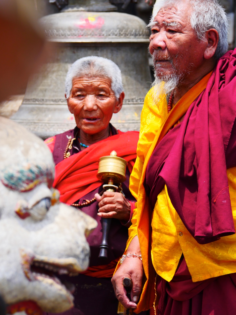 The Fogorellis Go Feral