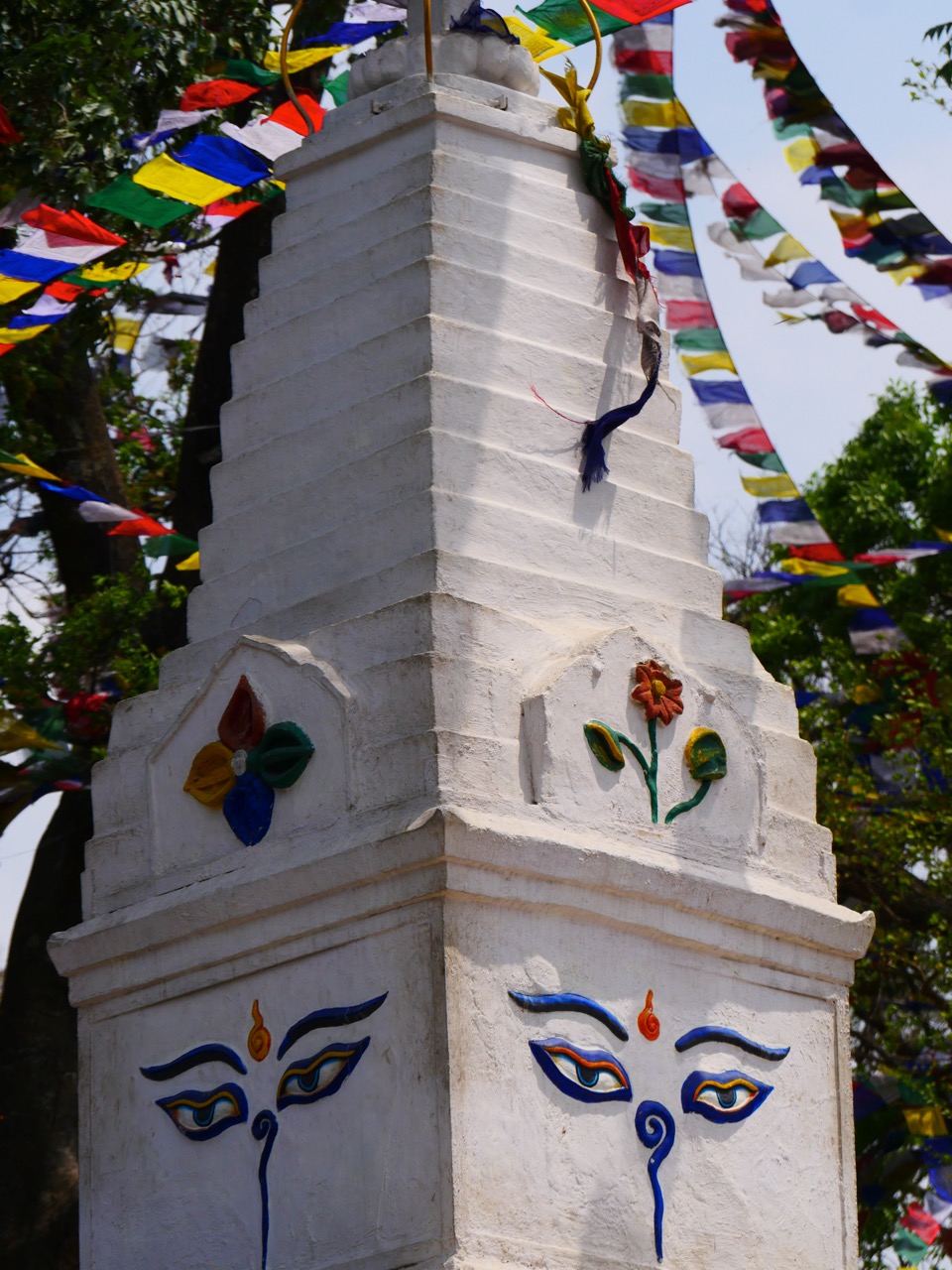 The Fogorellis Go Feral