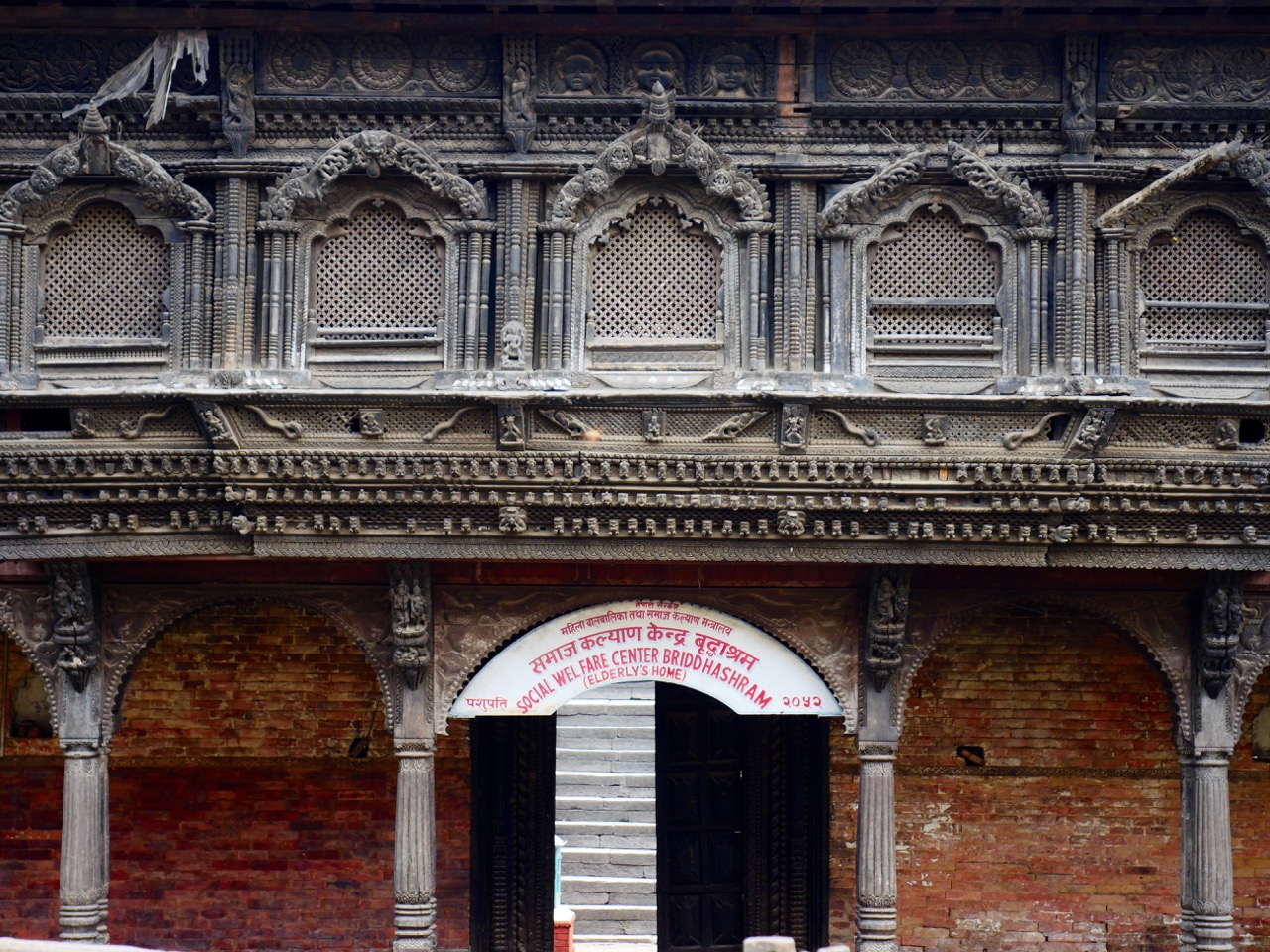 The Fogorellis Go Feral