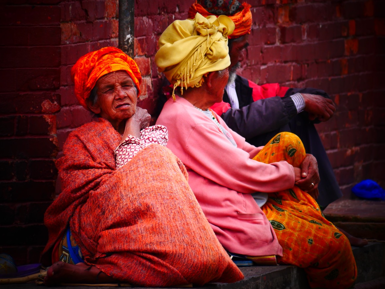 The Fogorellis Go Feral