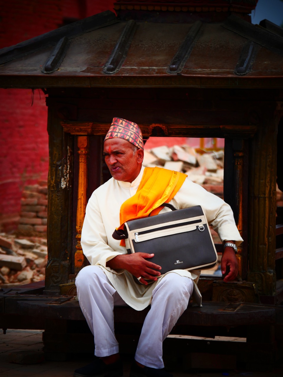 The Fogorellis Go Feral