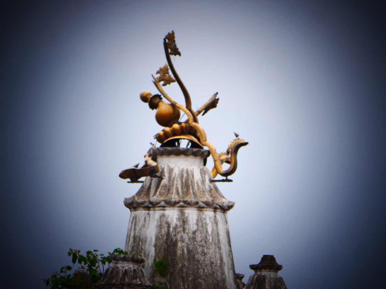 The Fogorellis Go Feral