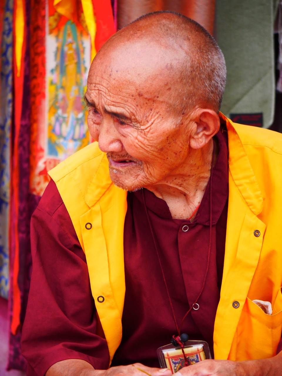 The Fogorellis Go Feral