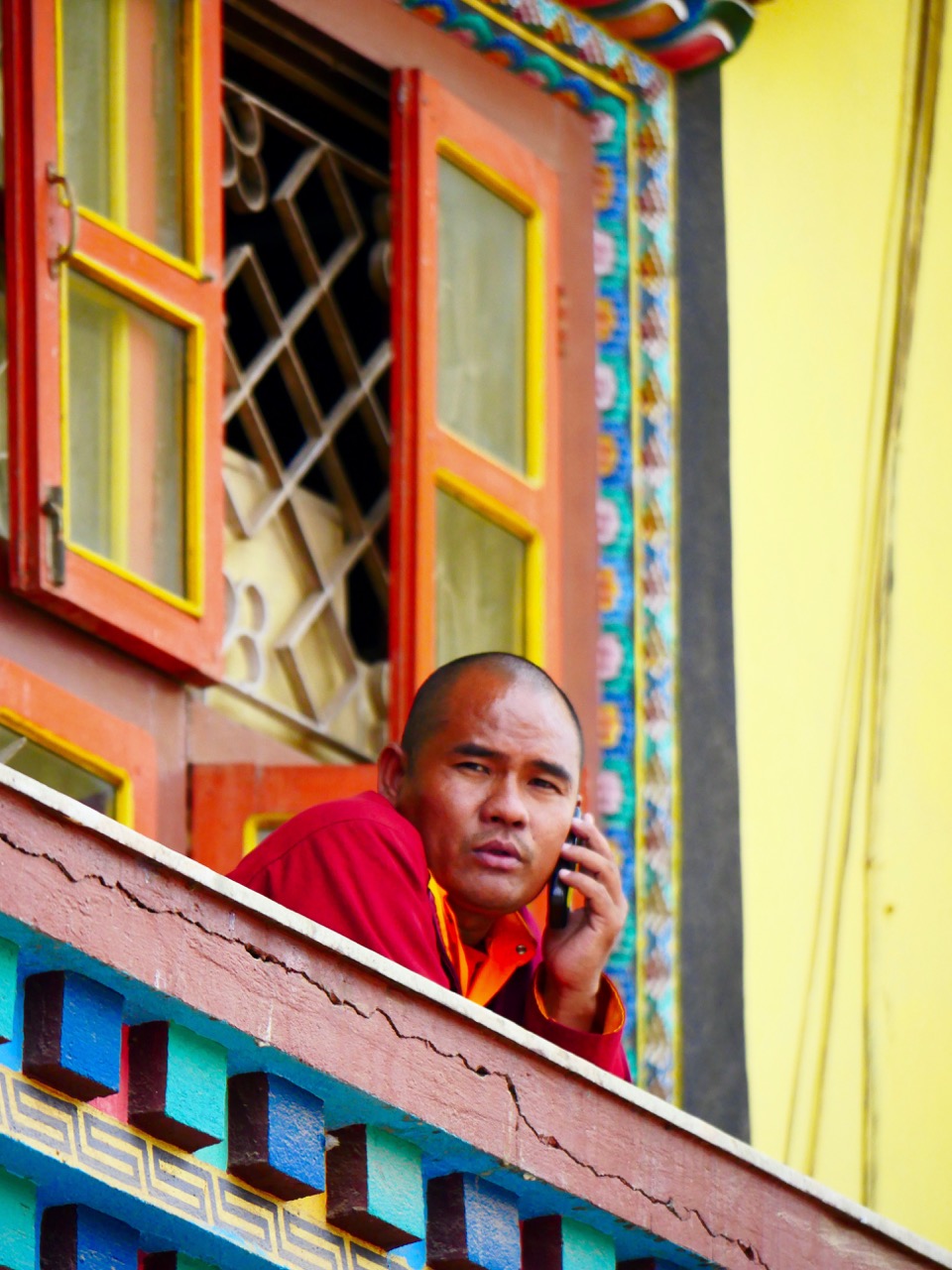 The Fogorellis Go Feral