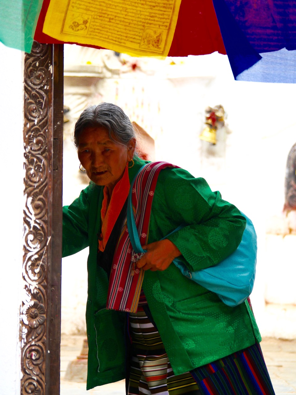 The Fogorellis Go Feral