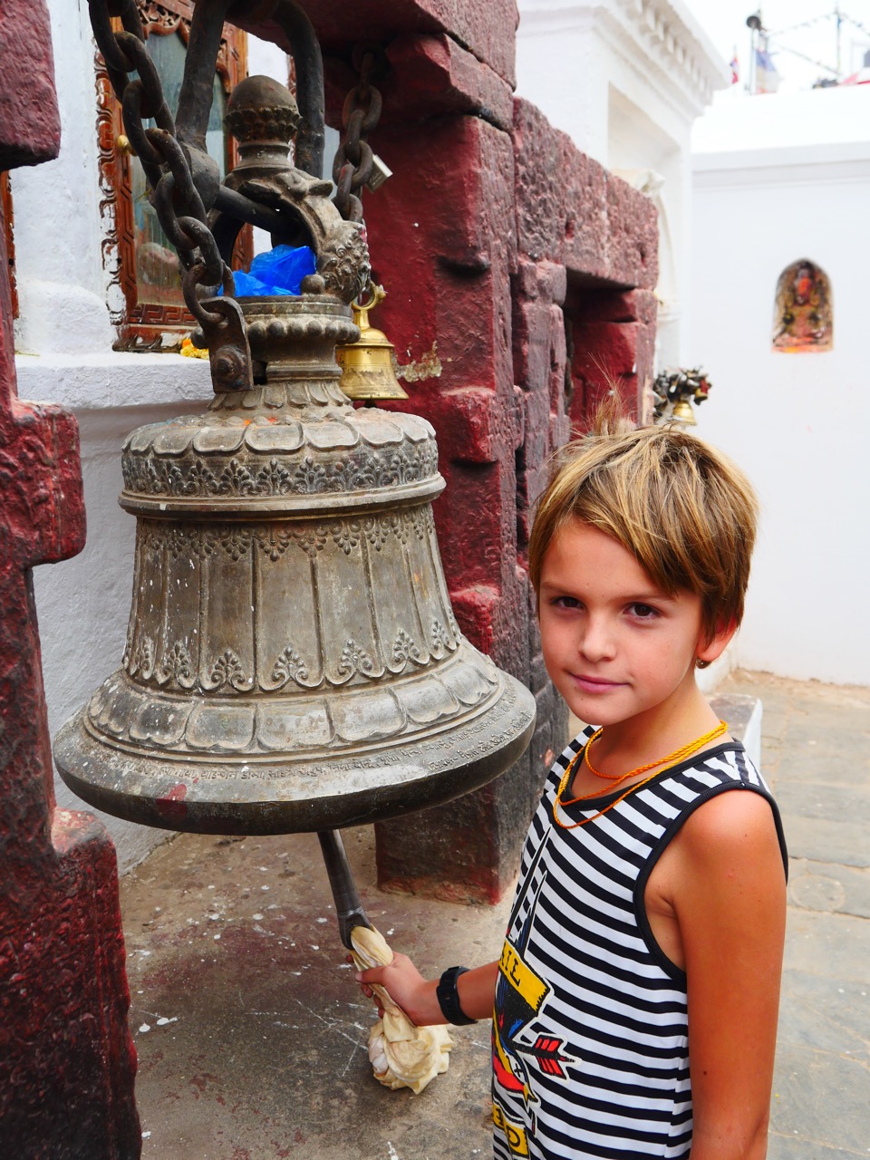 The Fogorellis Go Feral