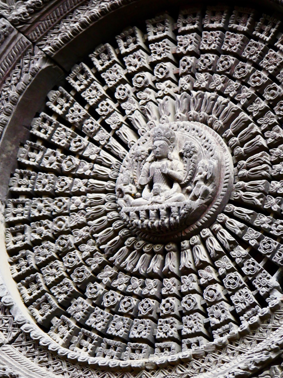 The Fogorellis Go Feral