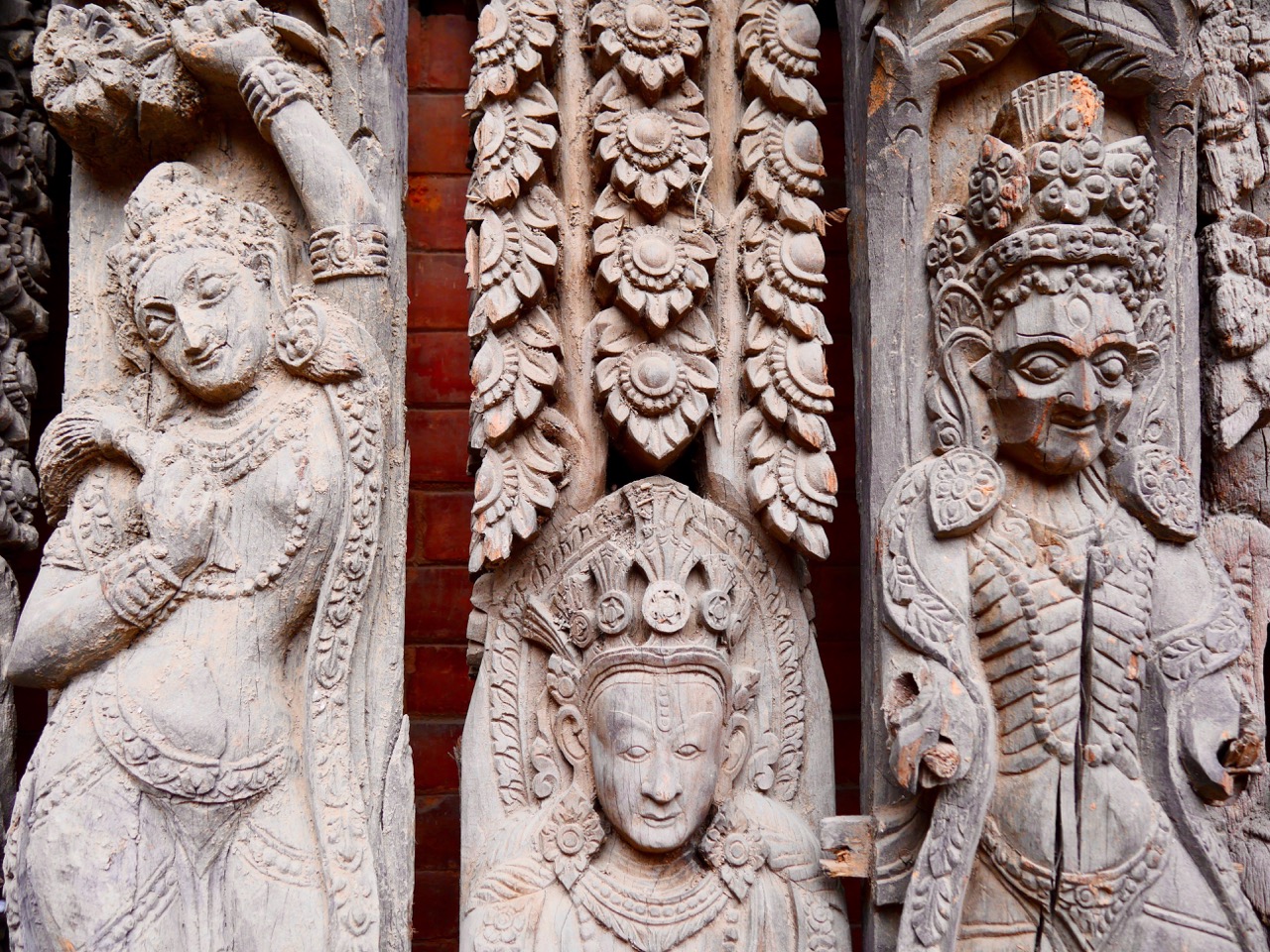 The Fogorellis Go Feral