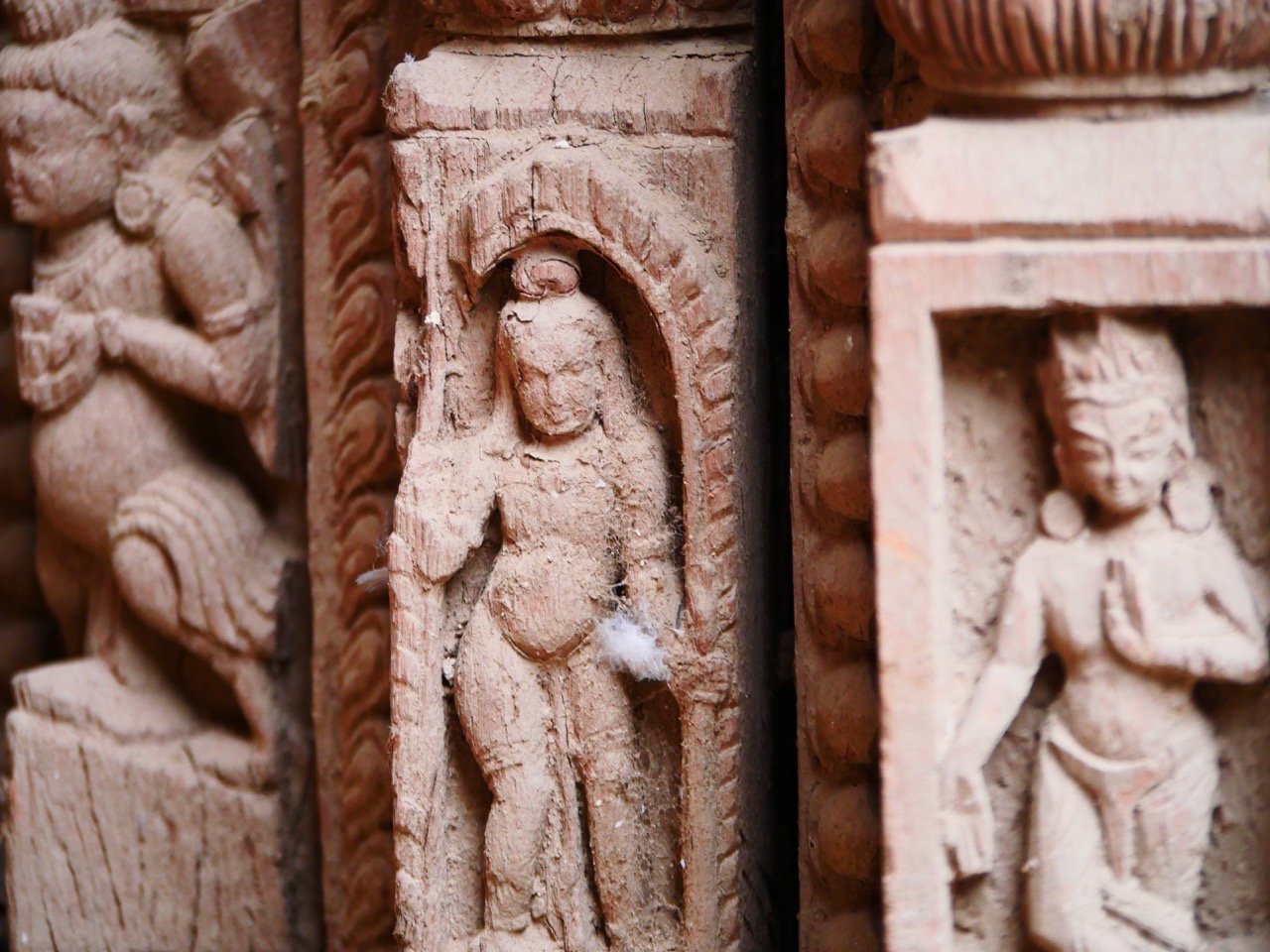 The Fogorellis Go Feral