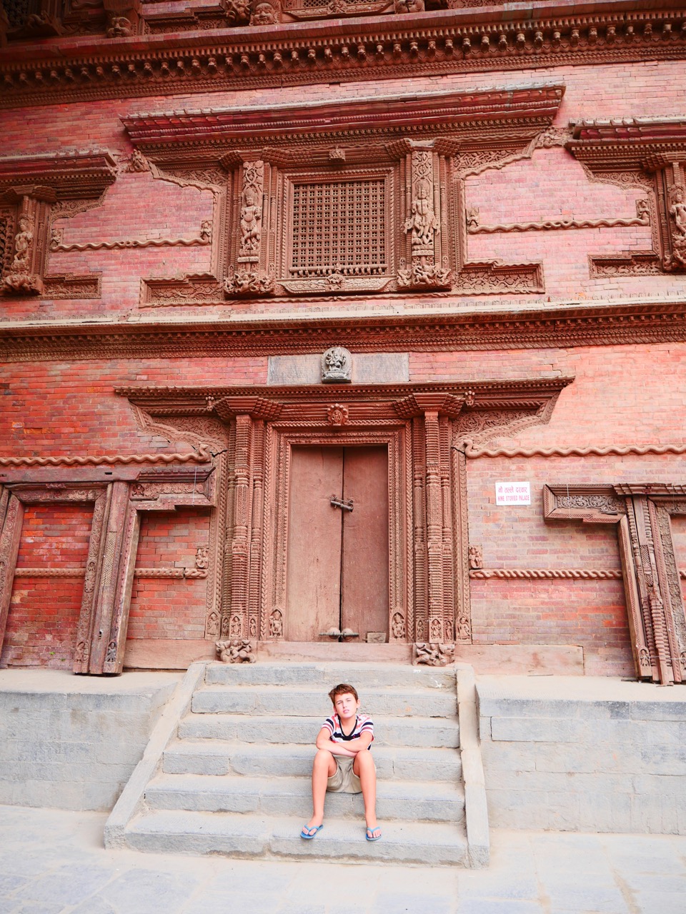 The Fogorellis Go Feral