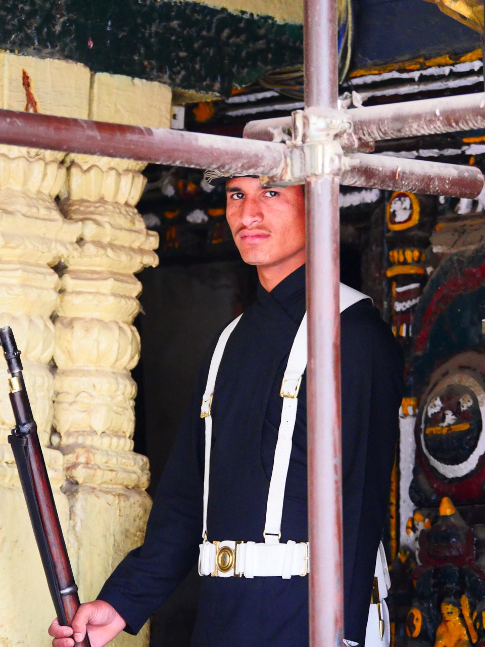 The Fogorellis Go Feral