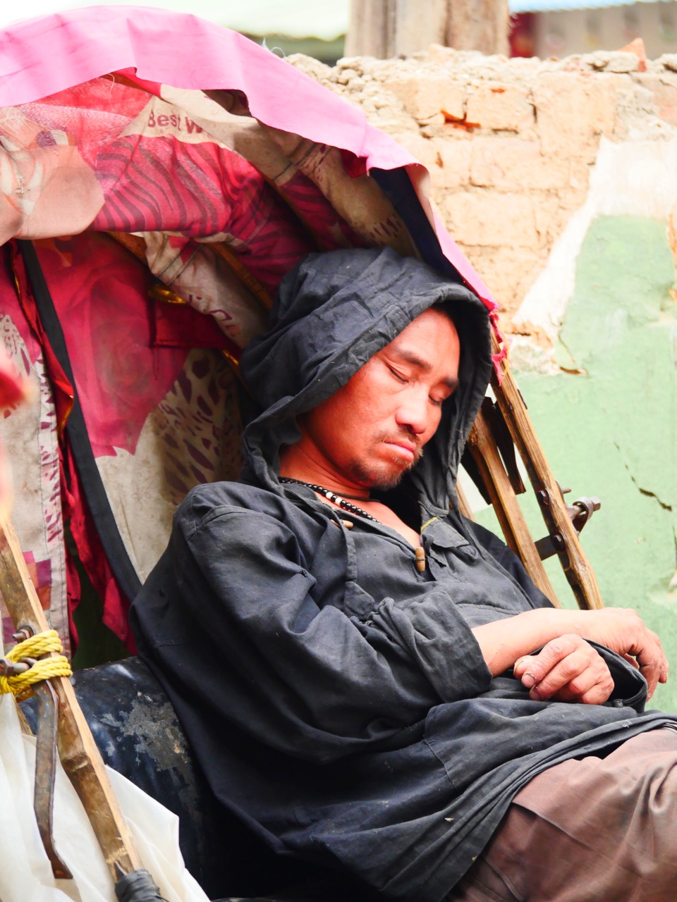 The Fogorellis Go Feral