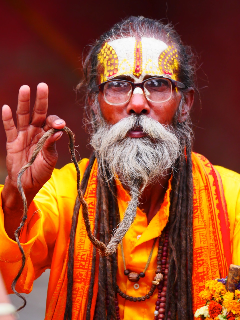 The Fogorellis Go Feral