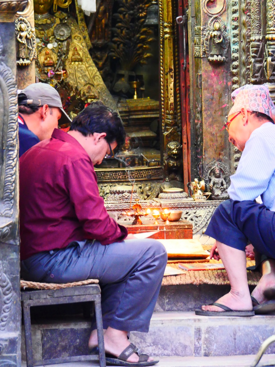 The Fogorellis Go Feral