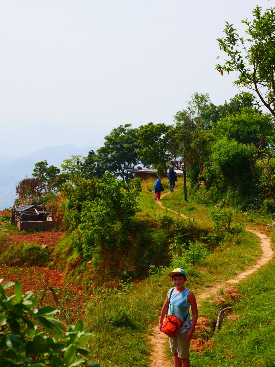 The Fogorellis Go Feral