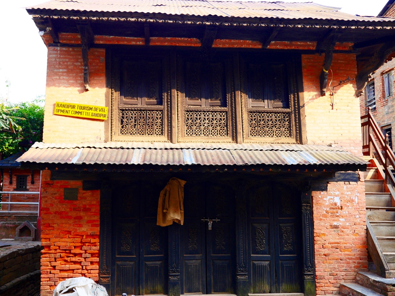 The Fogorellis Go Feral