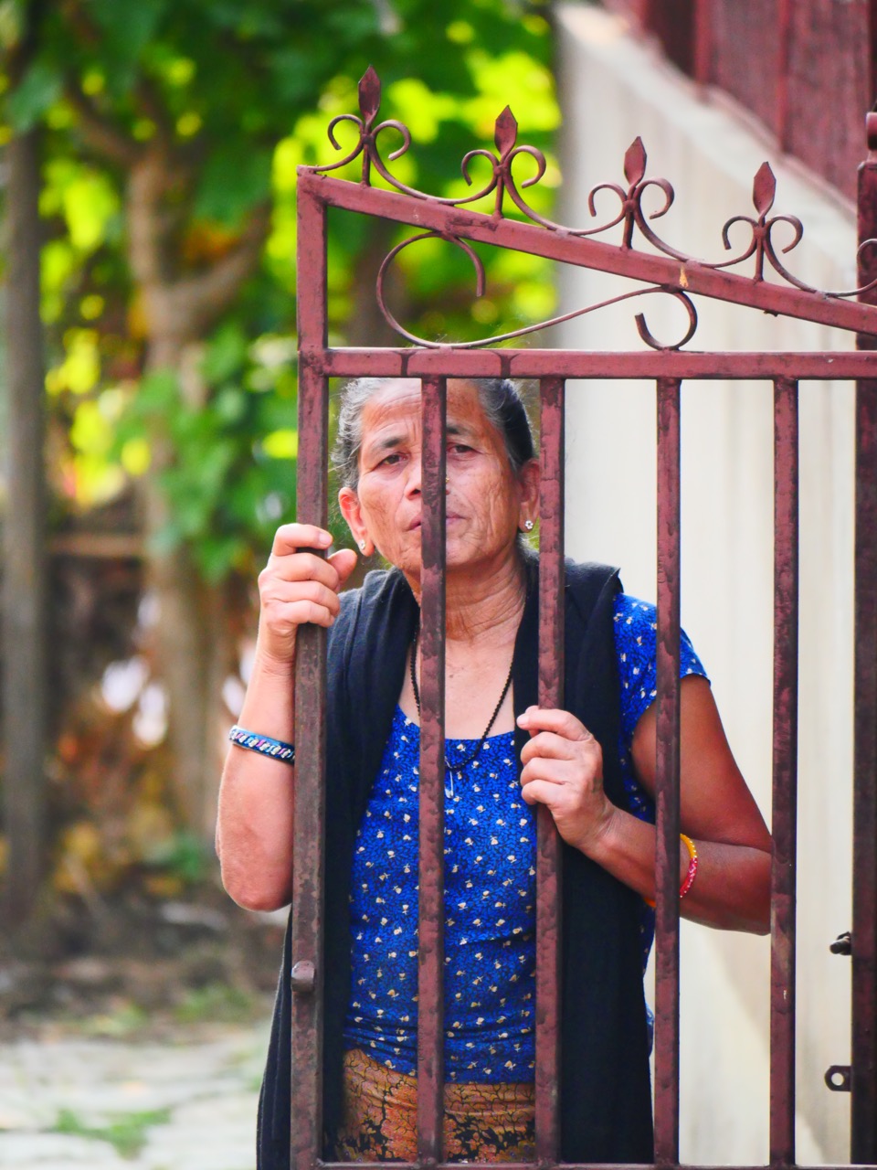 The Fogorellis Go Feral