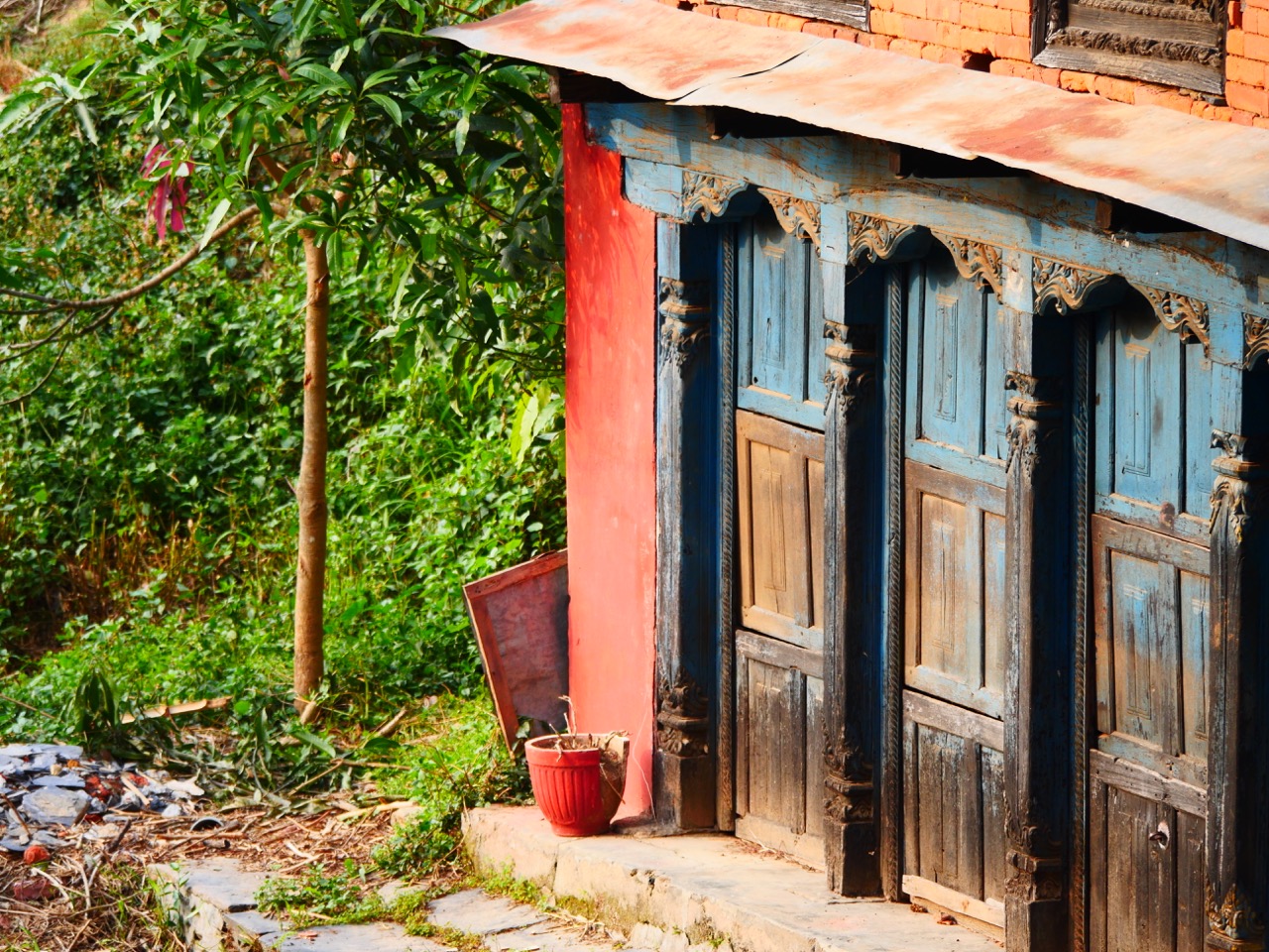 The Fogorellis Go Feral