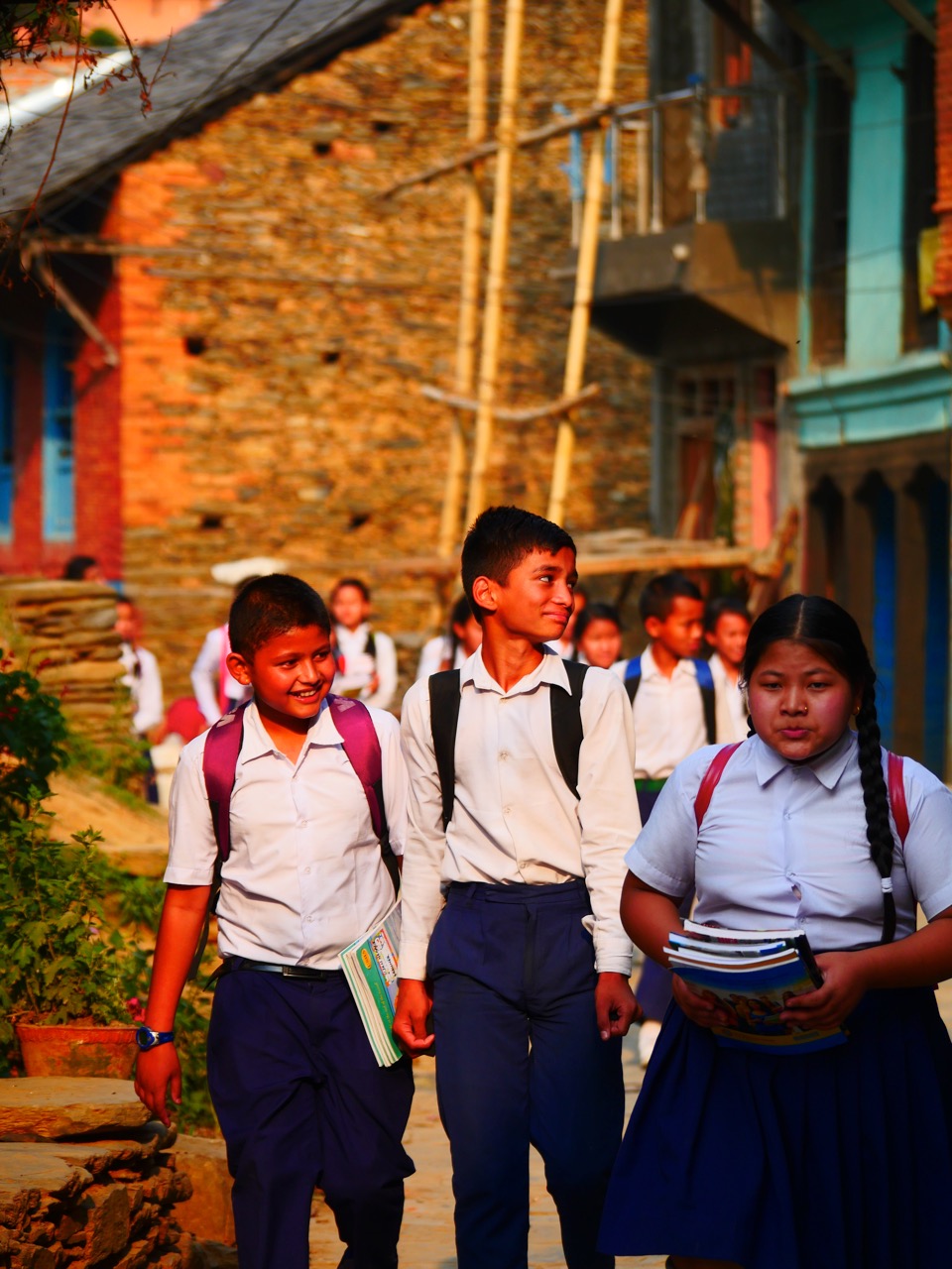 The Fogorellis Go Feral