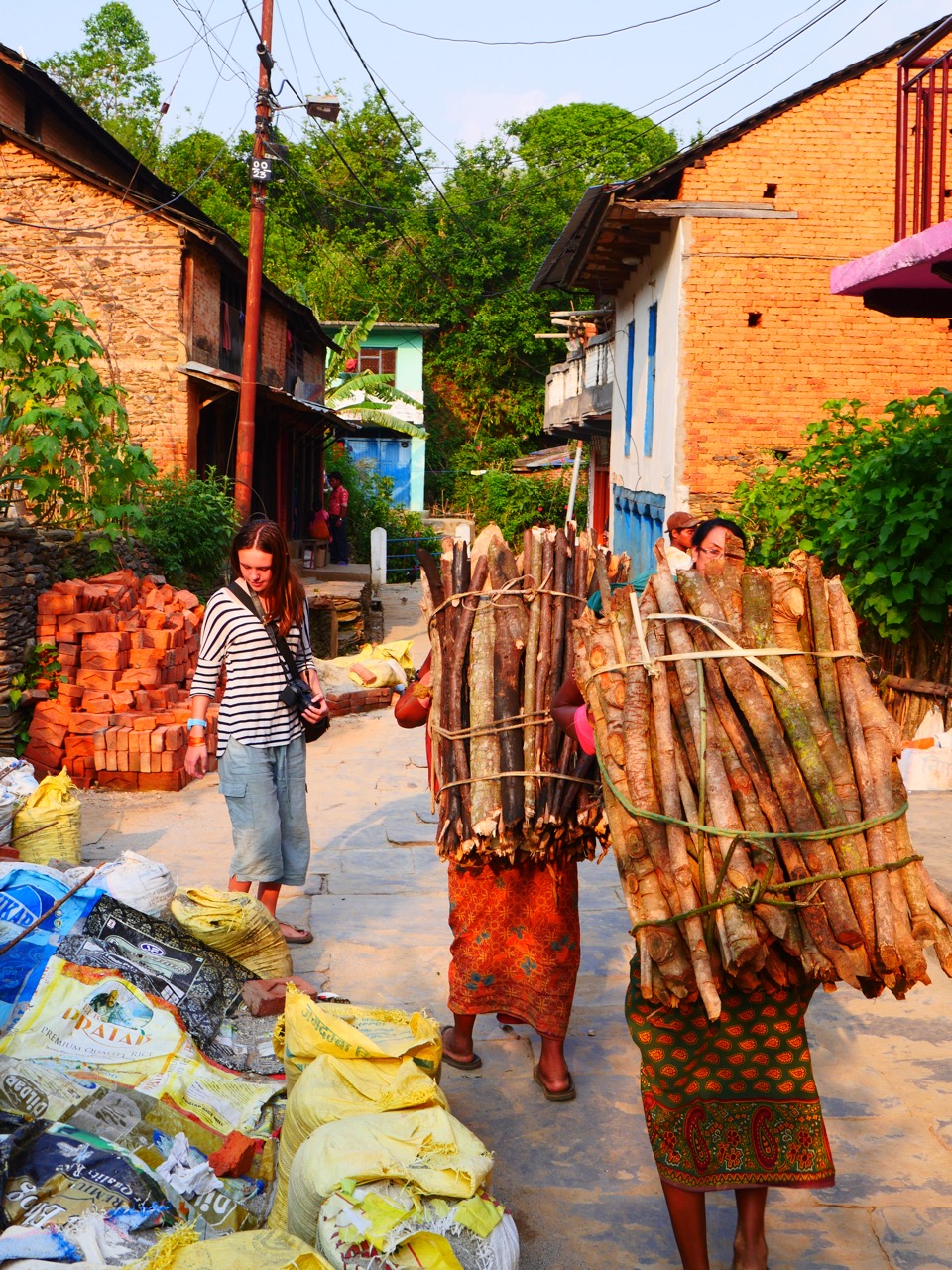 The Fogorellis Go Feral