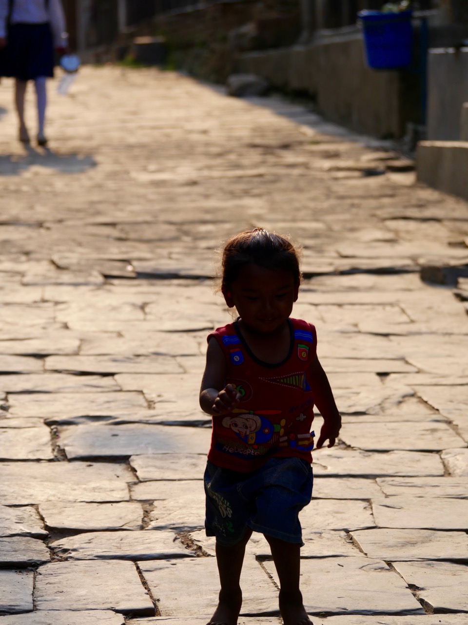 The Fogorellis Go Feral