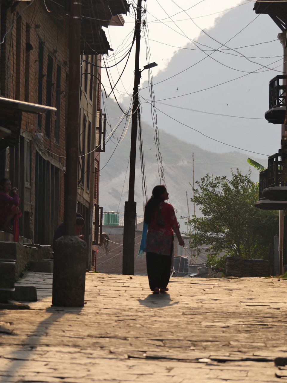 The Fogorellis Go Feral