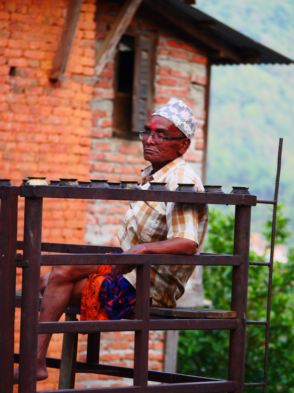 The Fogorellis Go Feral