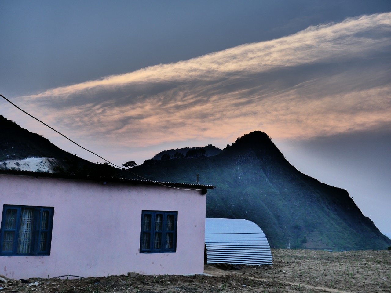 The Fogorellis Go Feral