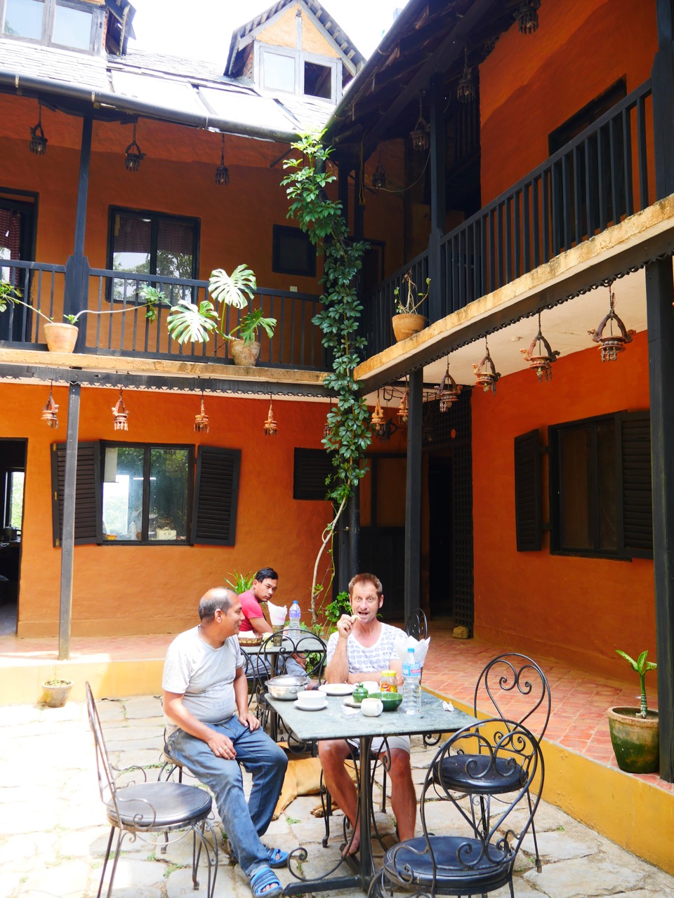 The Fogorellis Go Feral