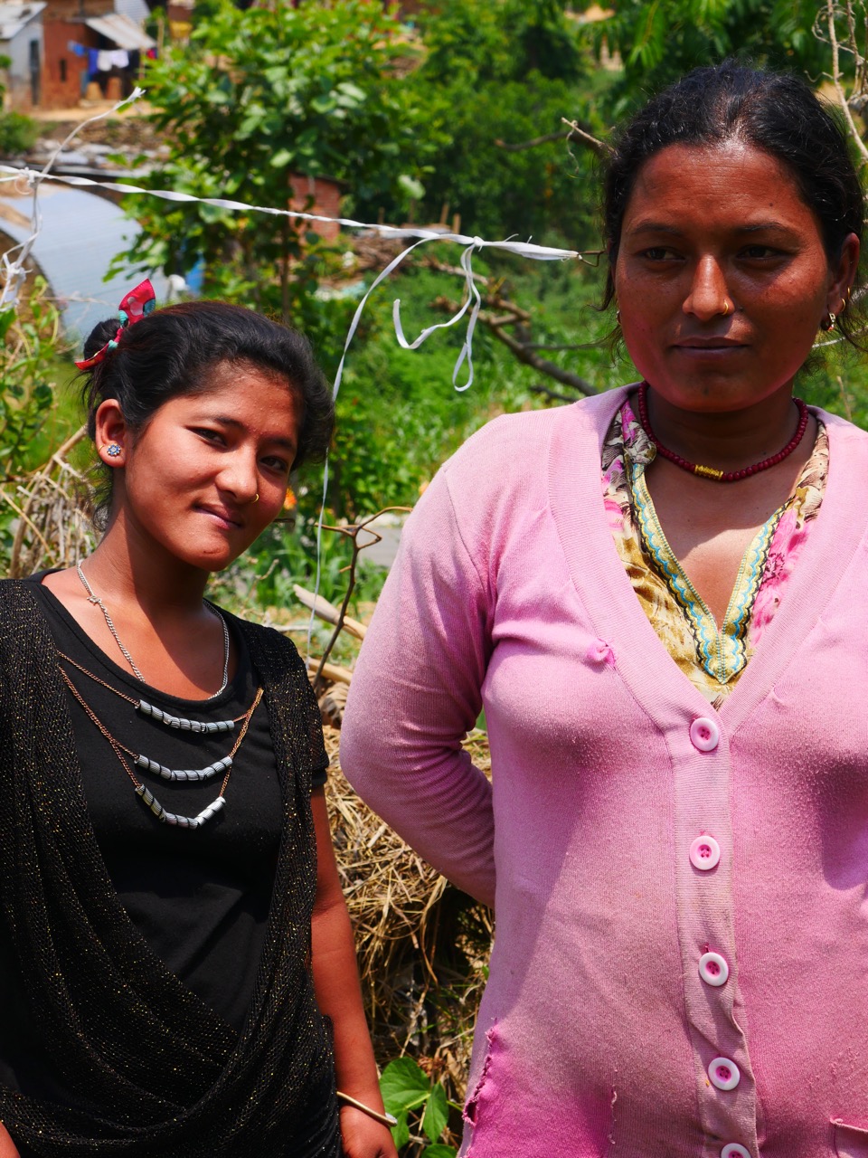 The Fogorellis Go Feral