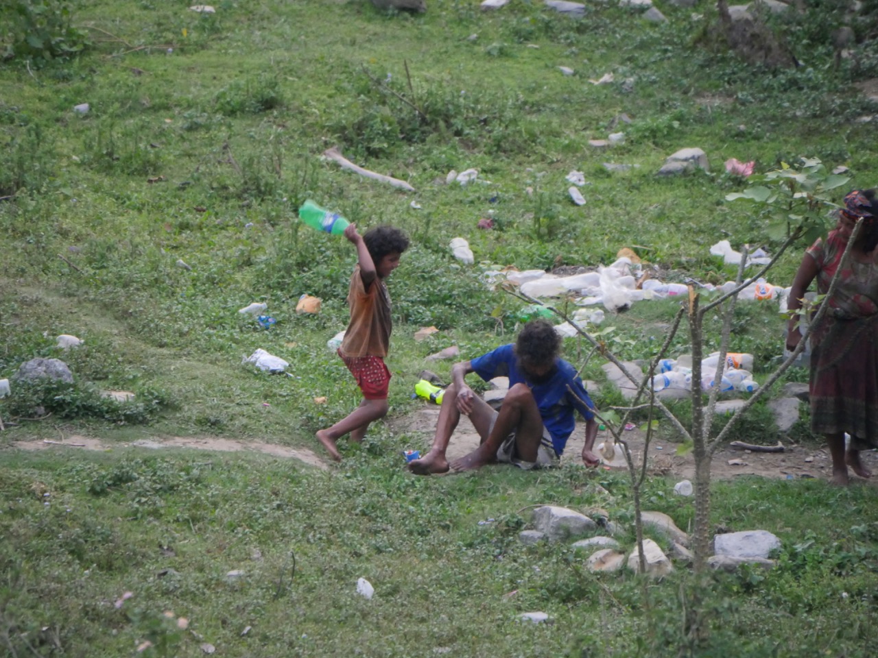 The Fogorellis Go Feral