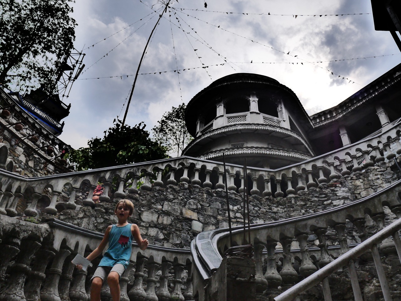 The Fogorellis Go Feral