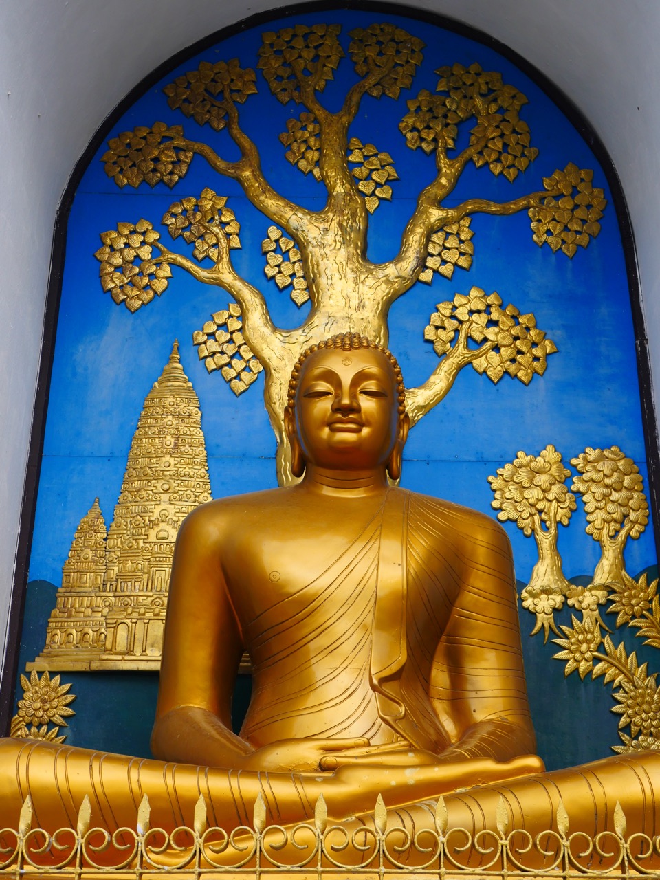 The Fogorellis Go Feral