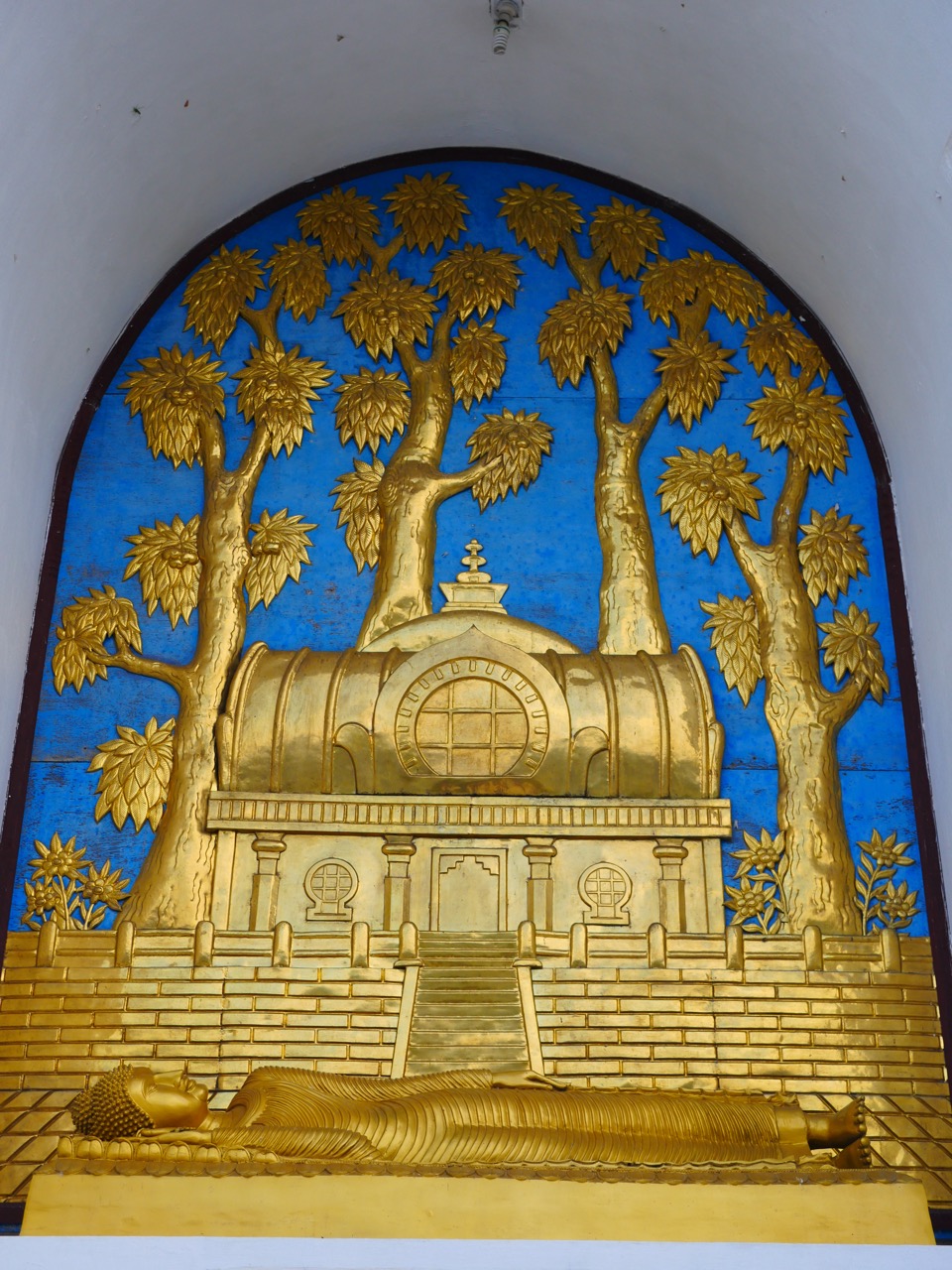 The Fogorellis Go Feral