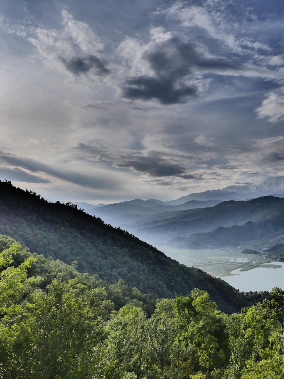 The Fogorellis Go Feral