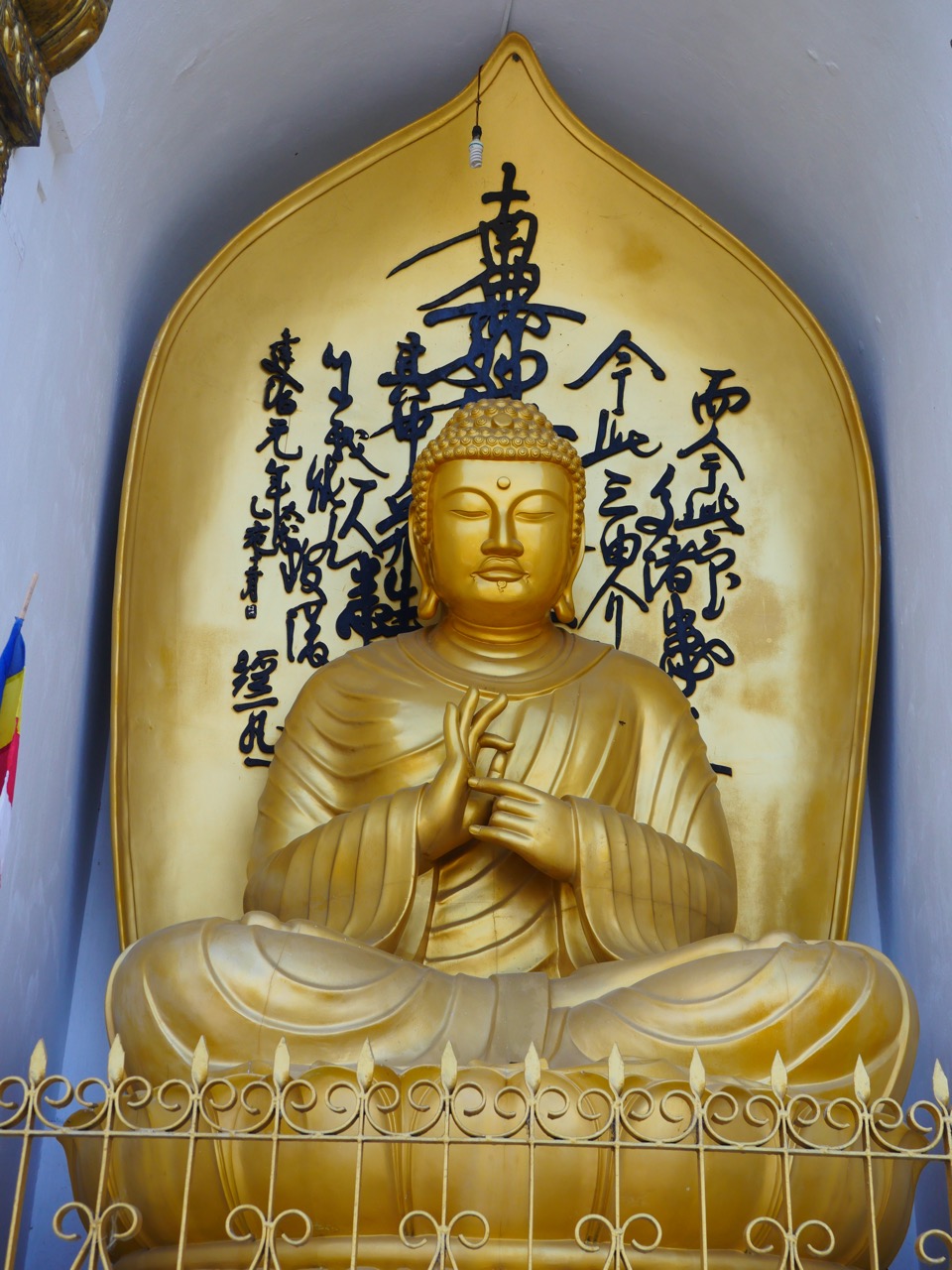 The Fogorellis Go Feral