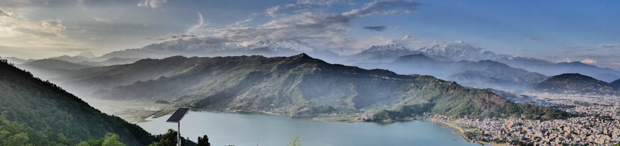 The Fogorellis Go Feral