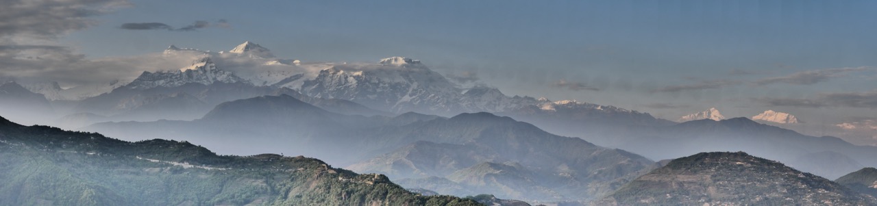 The Fogorellis Go Feral