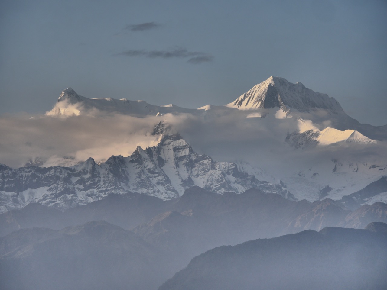 The Fogorellis Go Feral