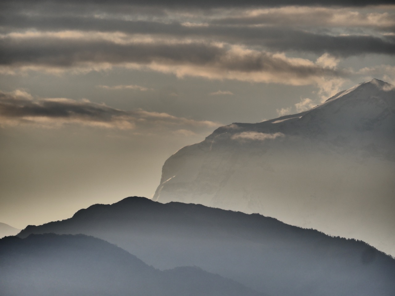 The Fogorellis Go Feral