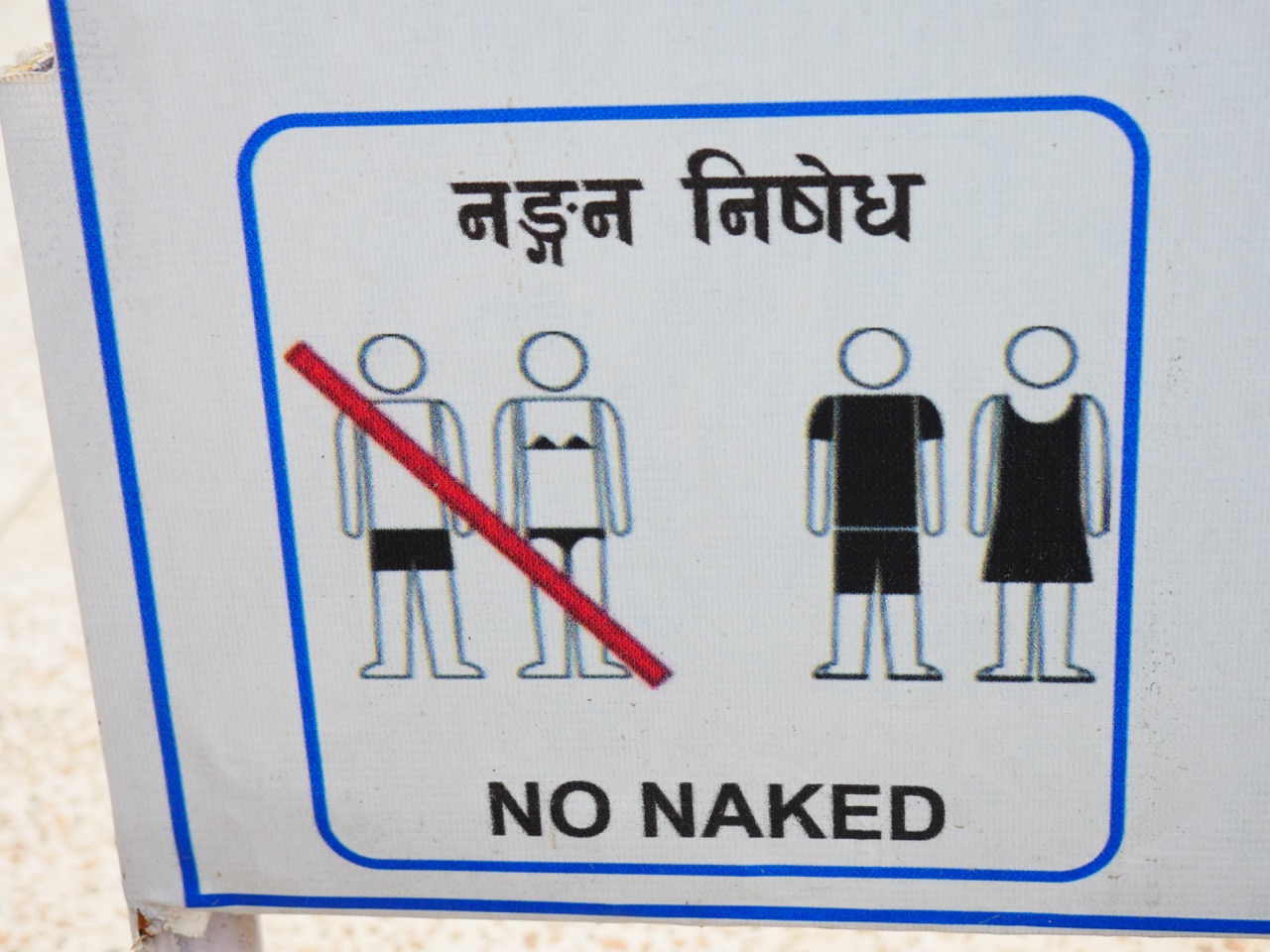 The Fogorellis Go Feral