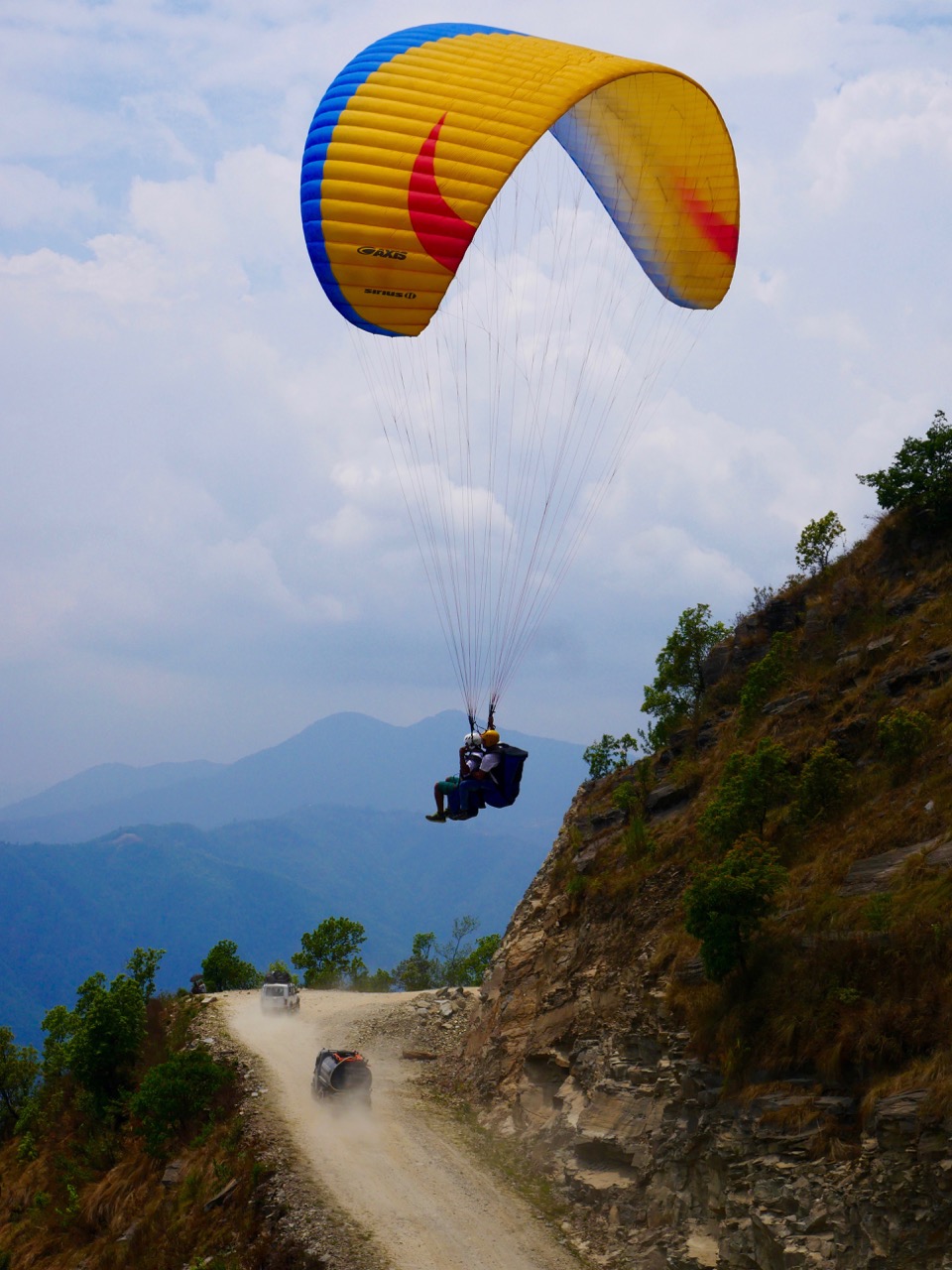 The Fogorellis Go Feral