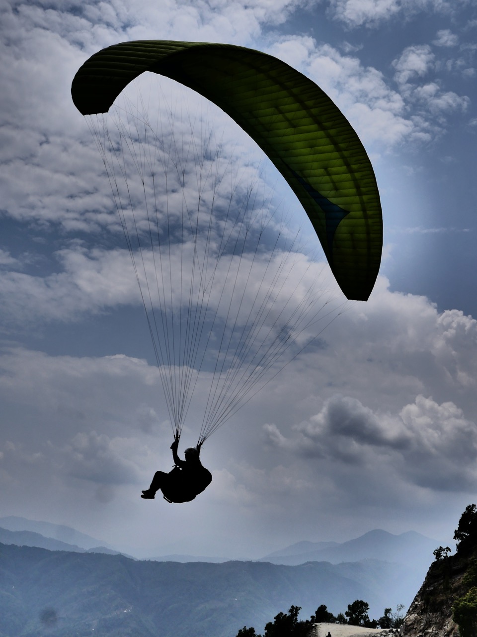 The Fogorellis Go Feral