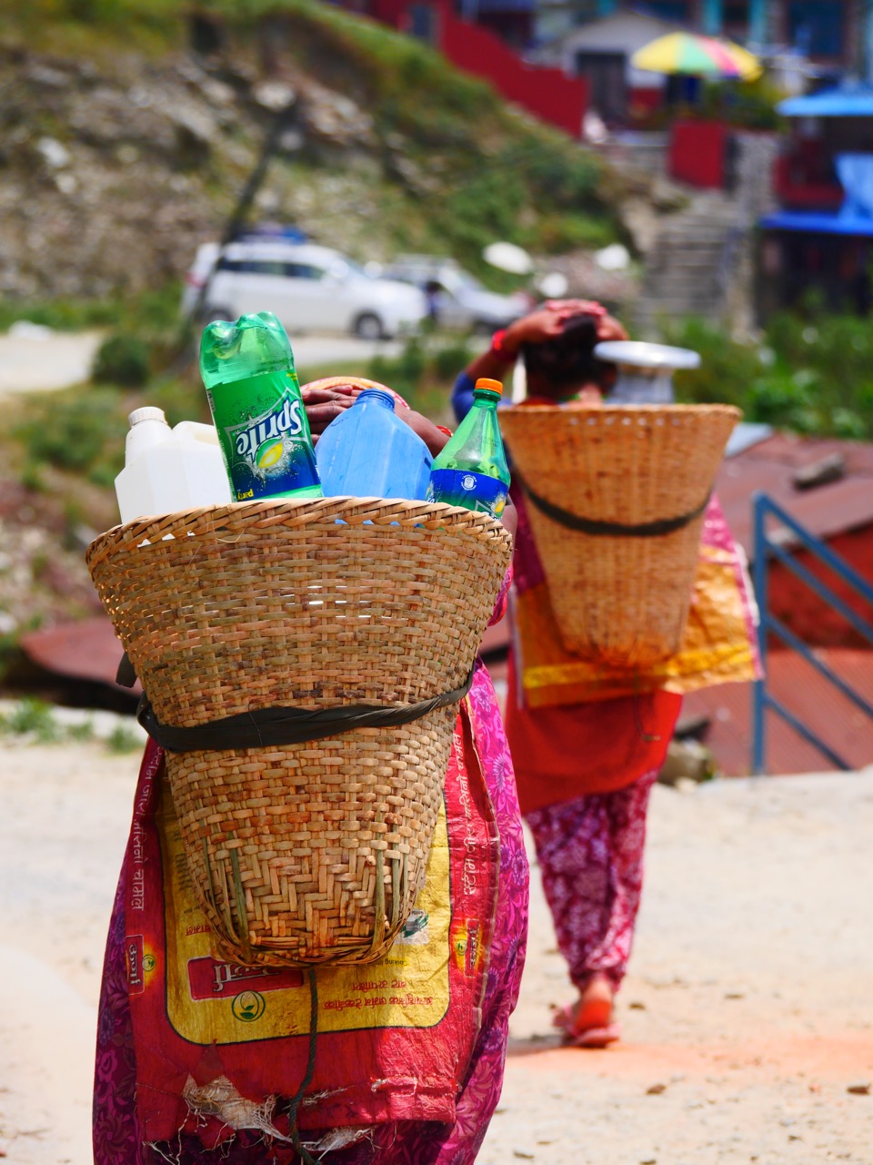 The Fogorellis Go Feral