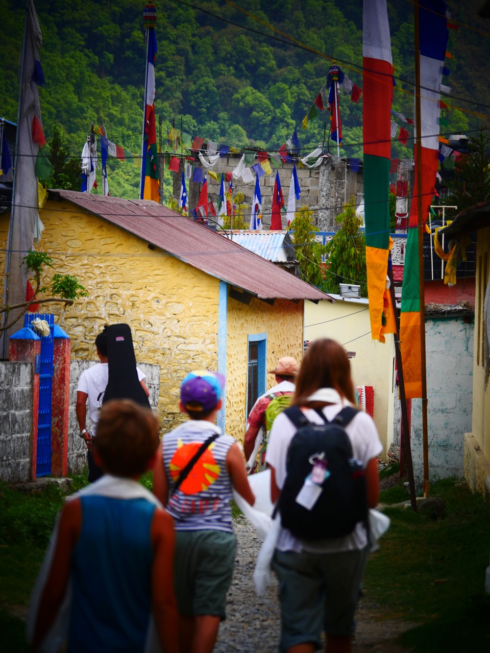 The Fogorellis Go Feral