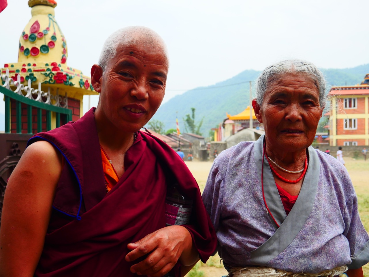 The Fogorellis Go Feral