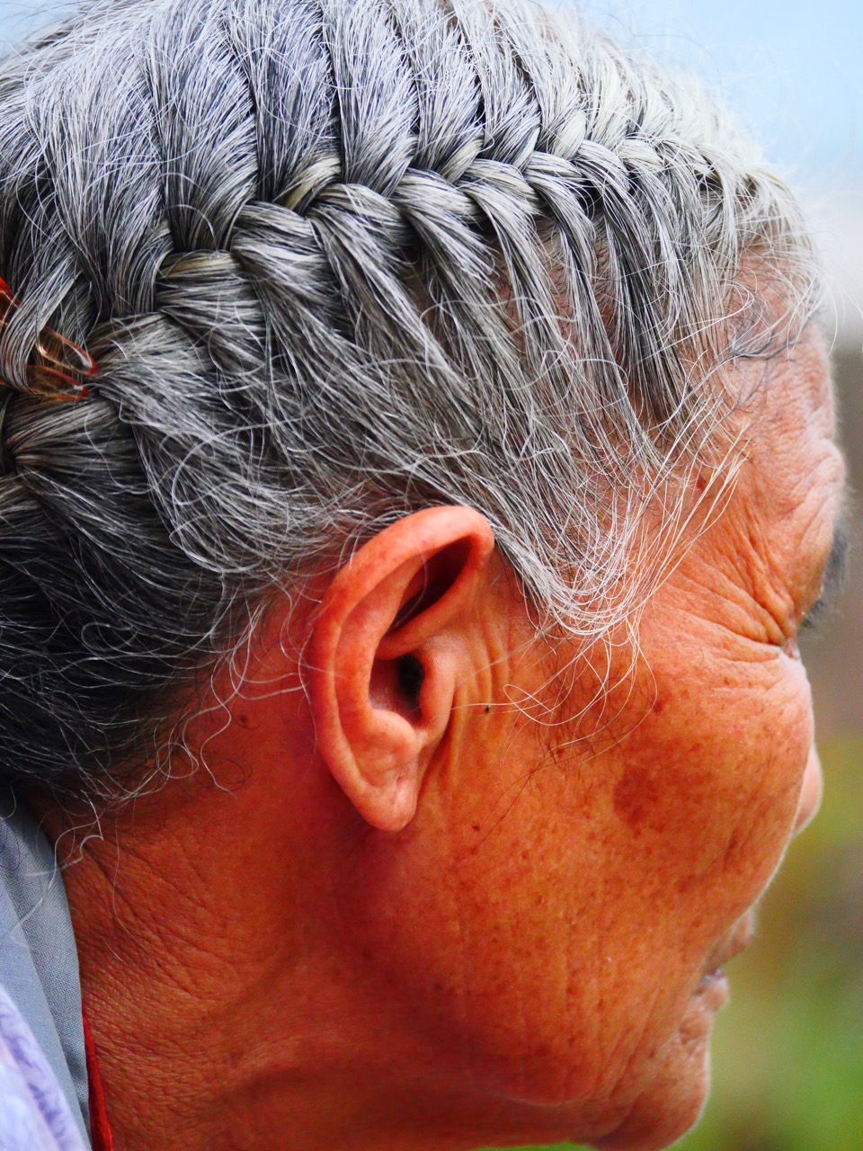 The Fogorellis Go Feral