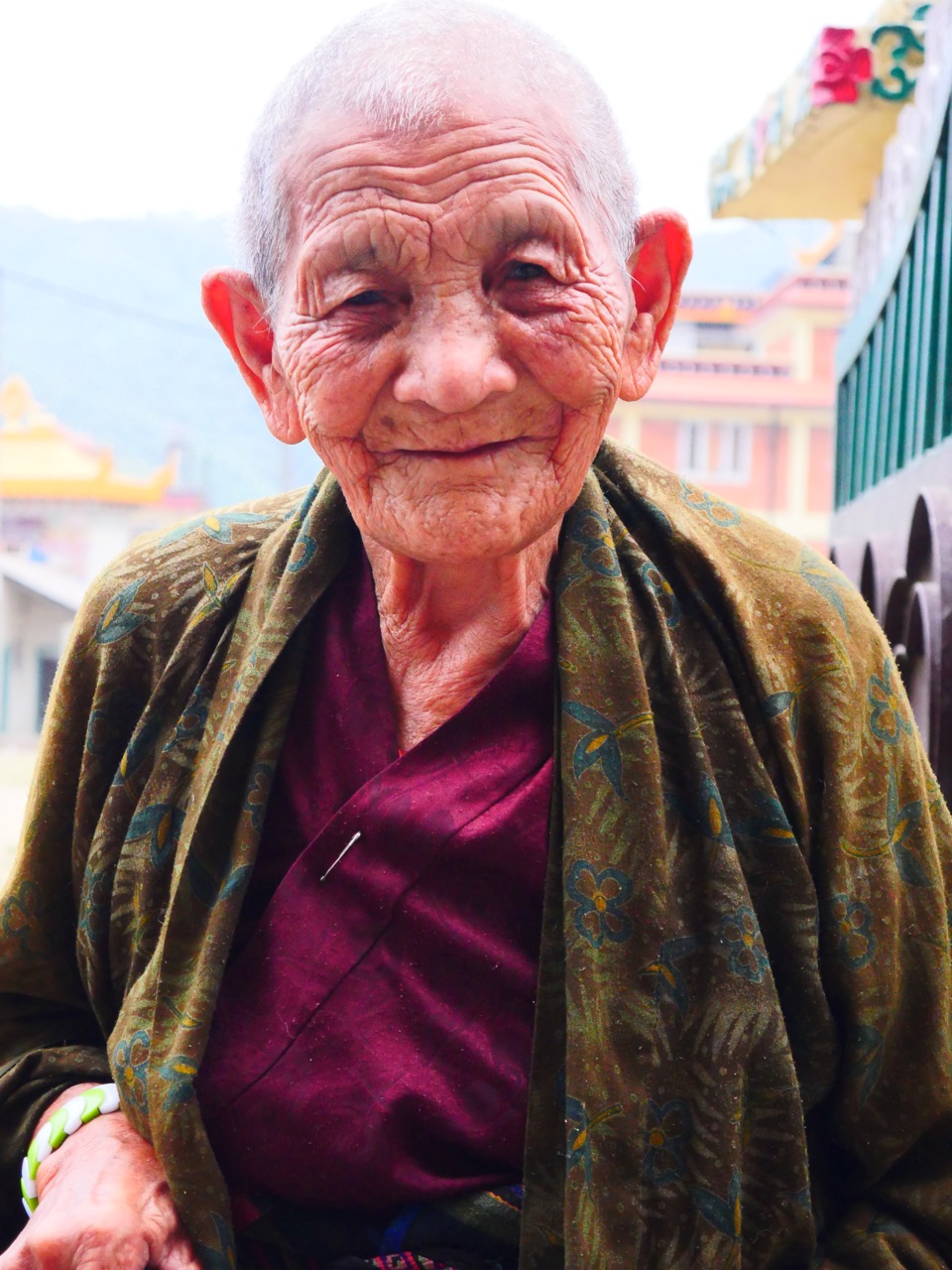 The Fogorellis Go Feral